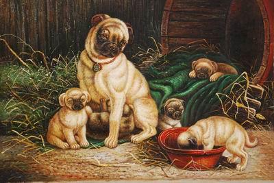 unknow artist Dogs 028 oil painting image